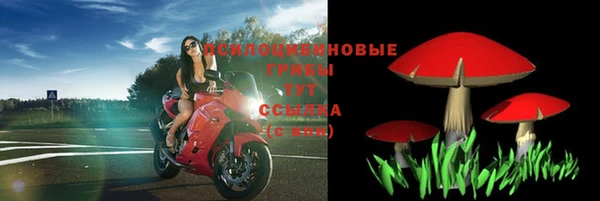 спиды Алзамай