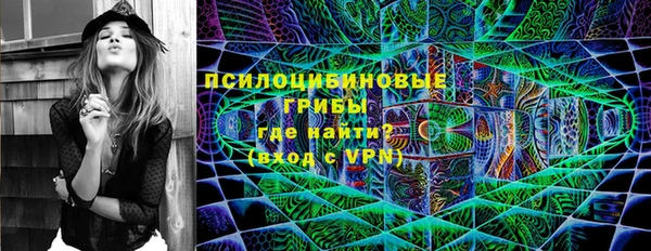 спиды Алзамай
